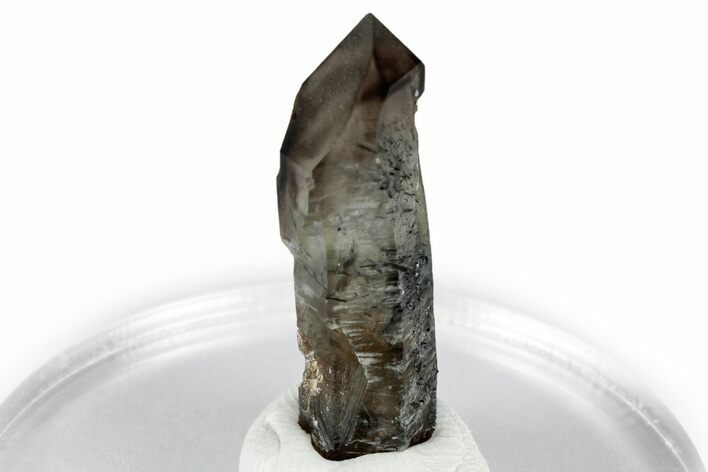 Smoky Quartz Crystal with Black Tourmaline Inclusions - Namibia #348754
